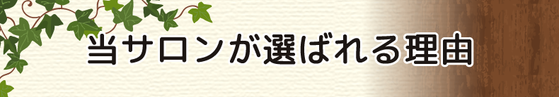 市原市五井で人気の美容室ならfellows（フェロウズ）へ！
